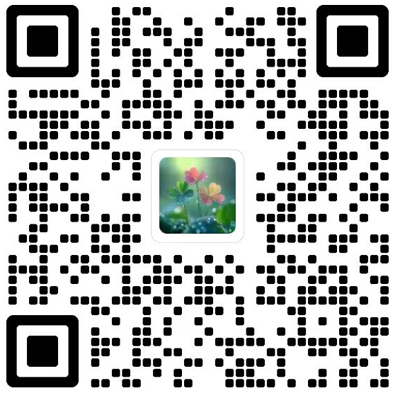 Nanotechnology and Precision Engineering杂志模板